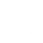 Language and Cultural Exchange